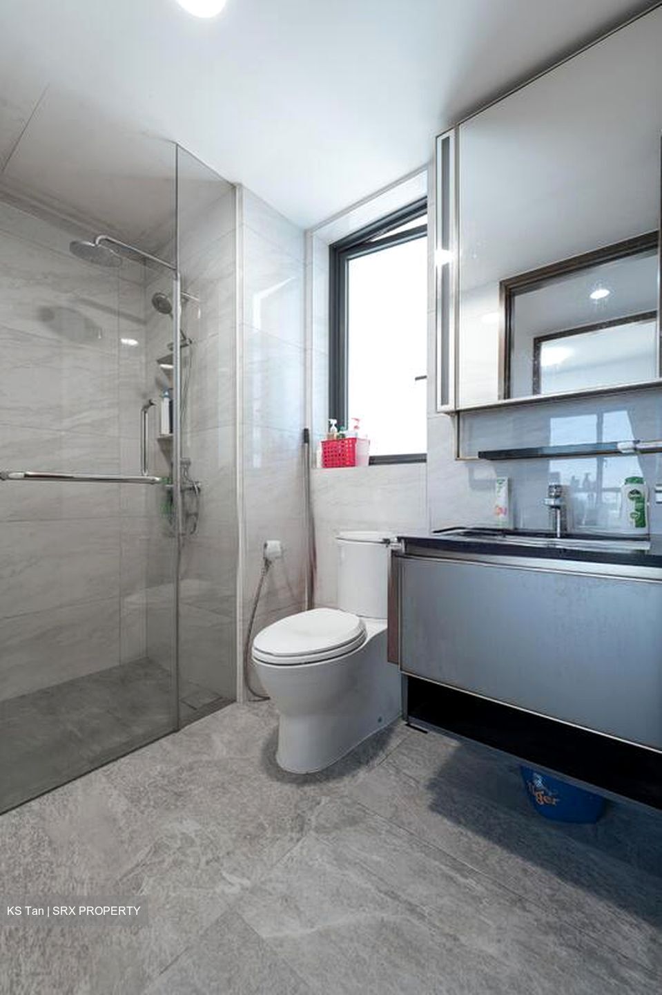 Normanton Park (D5), Apartment #498840061